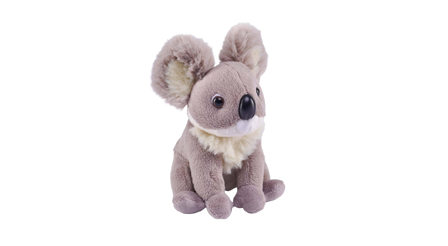 Pocket Koala