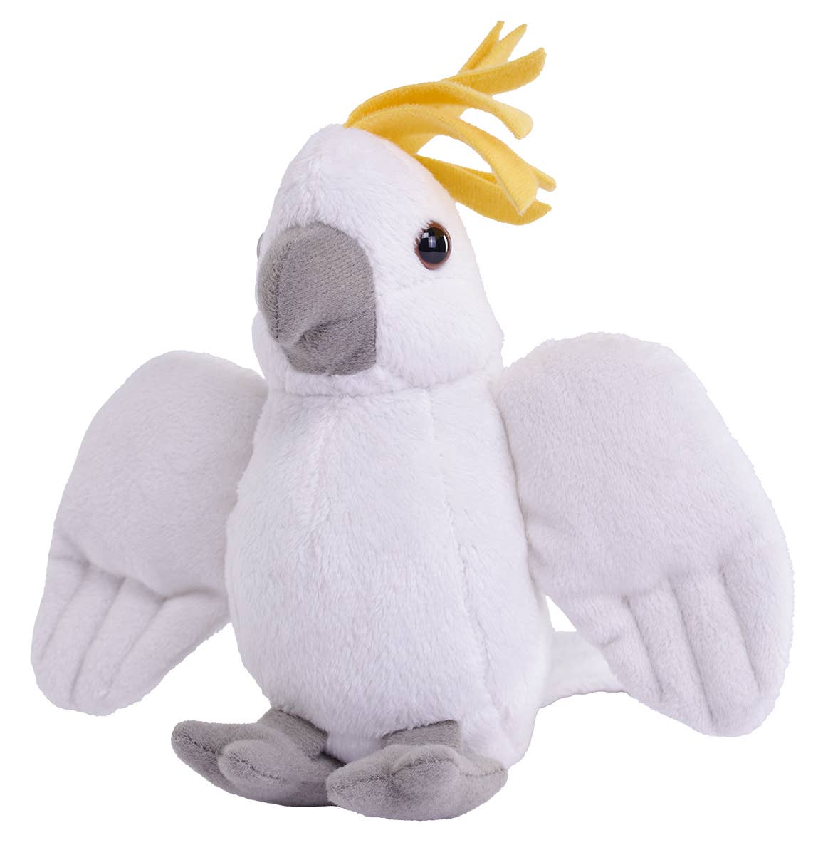 Pocket Cockatoo