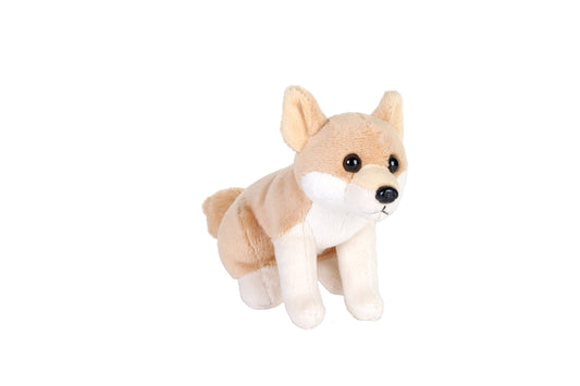 Pocket Dingo
