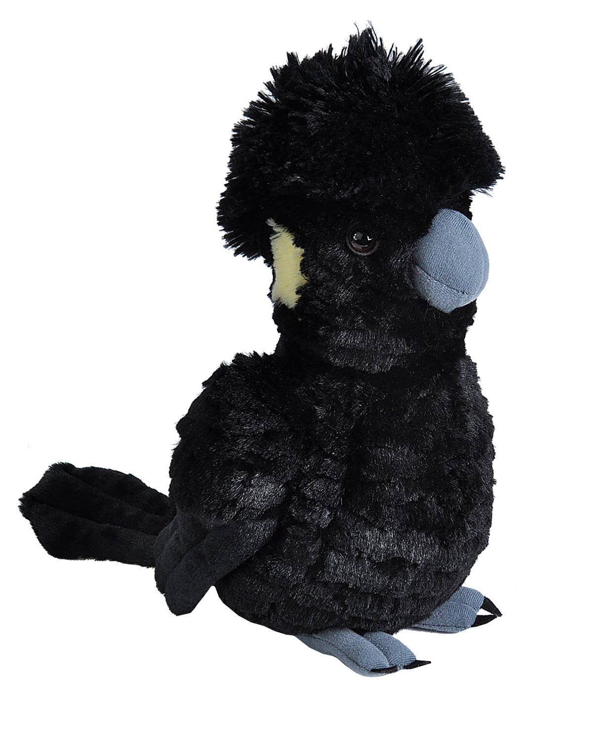 Bubba the Black Cockatoo