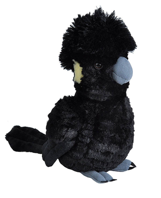 Bubba the Black Cockatoo