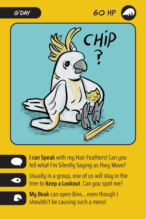Chippie the Cockatoo