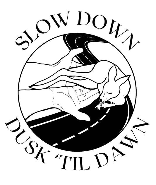 Slow Down, Dusk Til Dawn