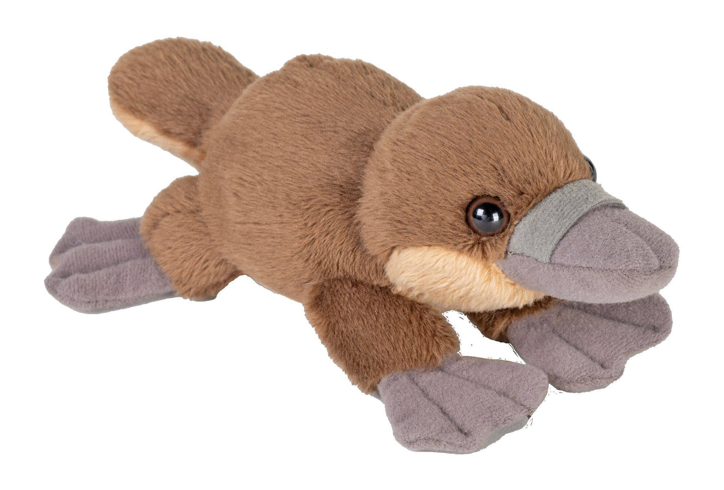 Pocket Platypus