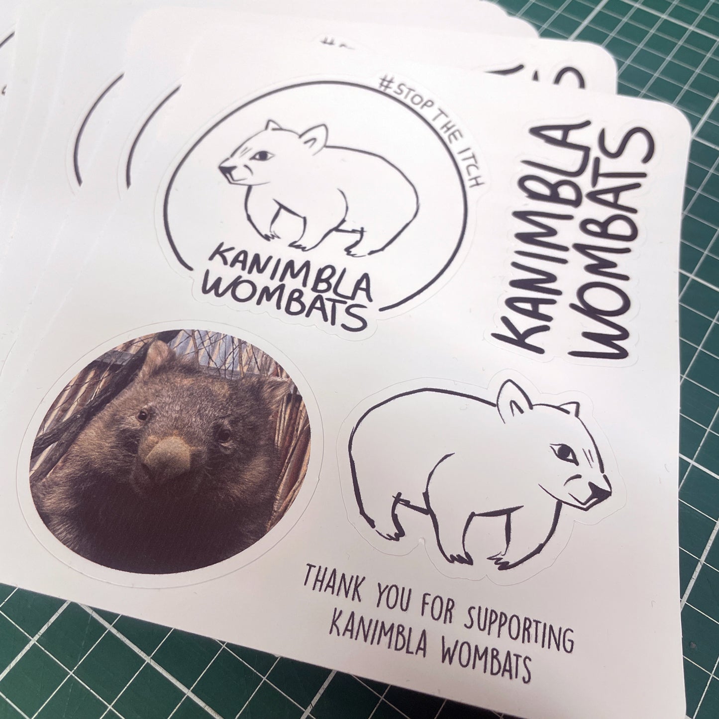 Kanimbla Wombats T-shirt